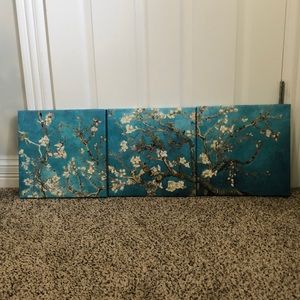 Blossom Paintings